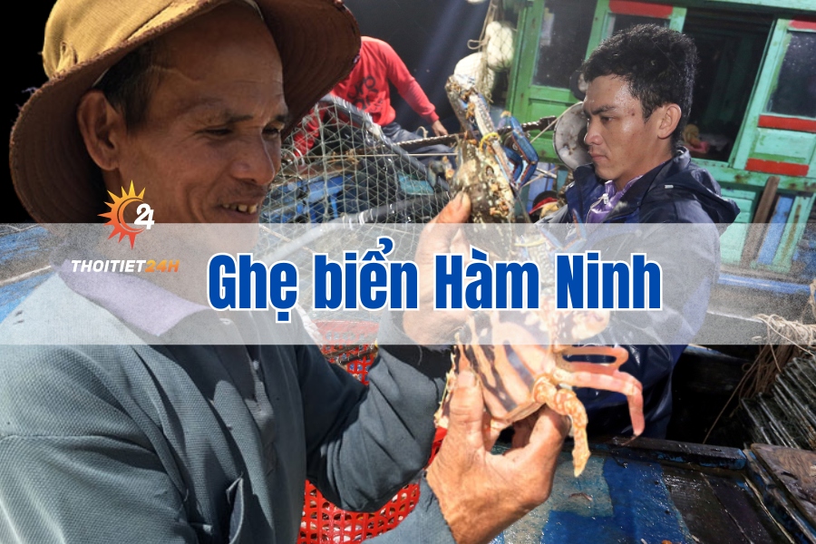 Ghẹ Hàm Ninh Phú Quốc: Tổng hợp kinh nghiệm, địa chỉ ăn ngon